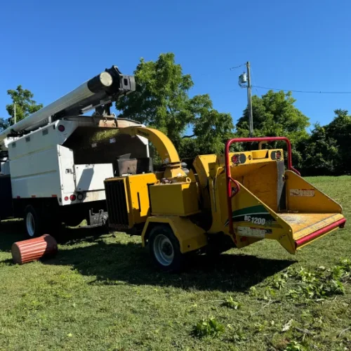 Home Land Clearing, Landscaping & Demolition